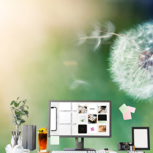 Fully-managed organic social media marketing in Ottawa